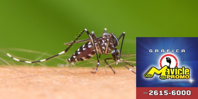 Teste que permite o diagnóstico rápido da dengue   Imã de geladeira e Gráfica Mavicle Promo